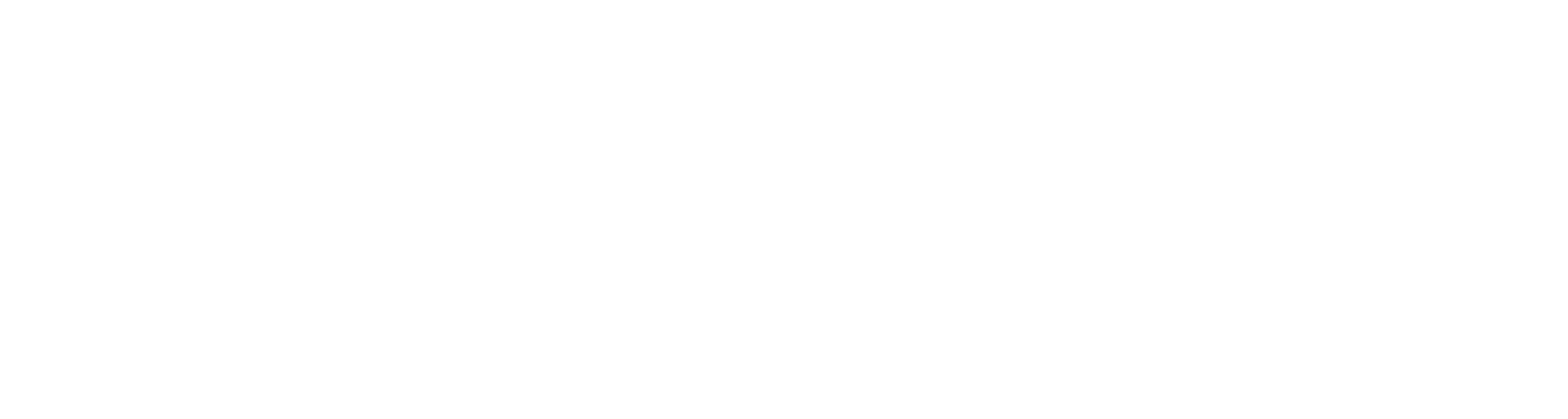 SecWiz Technologies Logo